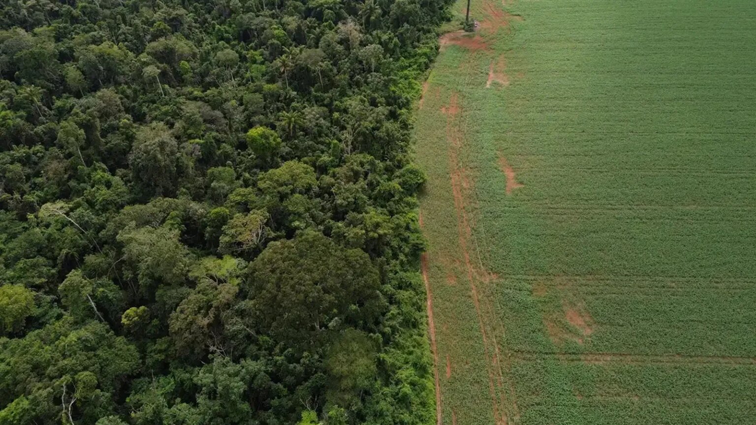 Brasil apresenta soluções de financiamento climático na ONU 1 brasil-apresenta-solucoes-financiamento-climatico-nova-york-fernando-frazao-agencia-brasil-tvt-news