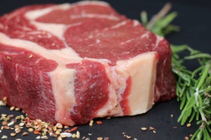 brasil-expande-acesso-a-novos-mercados-na-indonesia-argentina-e-paraguai-38-estabelecimentos-passam-a-atender-a-crescente-demanda-do-mercado-indonesio-foto-divulgacao-tvt-news