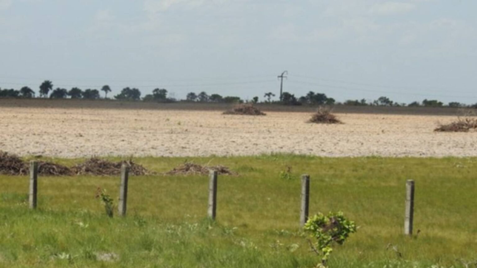brasil-lanca-sistema-para-monitoramento-diario-da-amazonia-sistema-monitora-degradacao-em-formacoes-nao-florestais-foto-cassiano-messias-tvt-news