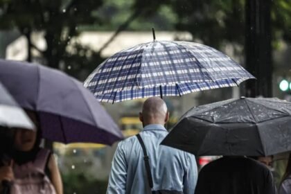 Chuvas, ventos fortes e queda de árvores deixam 900 mil sem energia 6 sp-chuvas-ventos-fortes-e-queda-de-arvores-deixam-900-mil-sem-energia-de-acordo-com-a-defesa-civil-oito-pessoas-ficaram-feridas-por-causa-de-desabamentos-foto-paulo-pinto-agenciabrasil-tvt-news