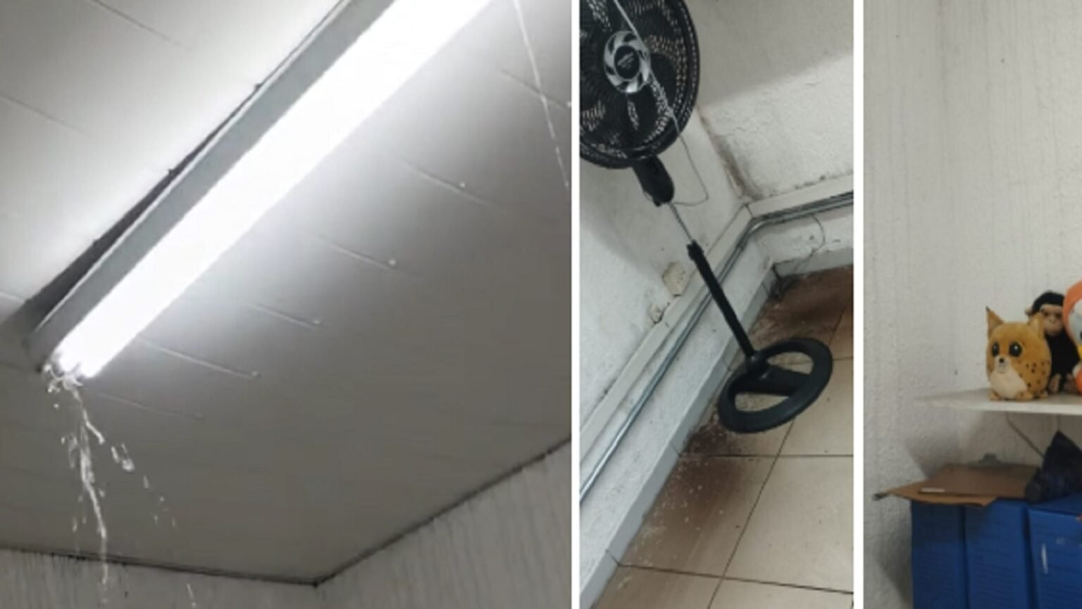 Conselhos Tutelares de Sao Paulo sofrem com descaso.jpg