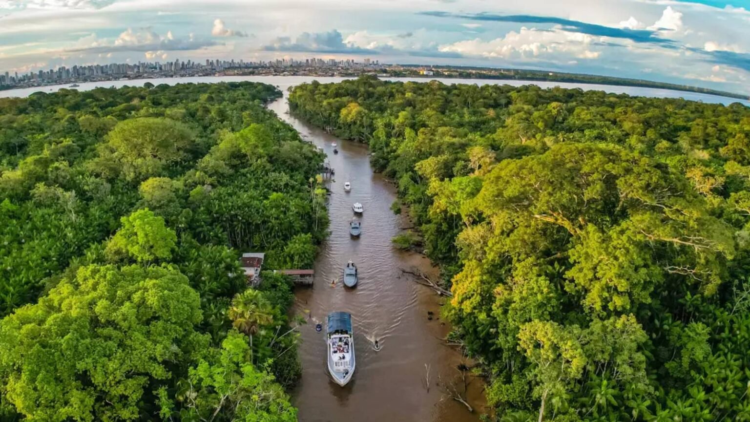 dia-da-amazonia-e-cop-30-colocam-floresta-no-centro-do-debate-sobre-o-clima-cop-30-sera-uma-vitrine-para-demonstrar-avancos-do-pais-na-protecao-ambiental-foto-ricardo-stuckert-pr-tvt-news