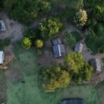 estudo-mostra-que-demarcar-terras-indigenas-melhora-saude-da-populacao-nossas-descobertas-reforcam-a-importancia-do-reconhecimento-legal-das-terras-indigenas-tis-diz-estudo-foto-fernando-frazao-agenciabrasil-tvt-news