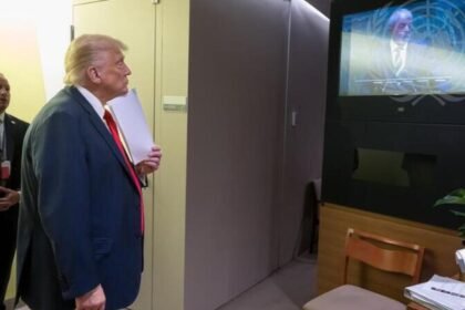 excelente-quimica-de-trump-e-lula-gera-memes-trump-assiste-ao-discurso-de-lula-na-80ª-assembleia-geral-da-onu-foto-onu-divulgacao-tvt-news