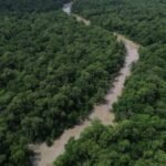 Programação do Dia da Amazônia mobiliza para COP30 programacao-do-dia-da-amazonia-mobiliza-para-cop30-existem-inumeras-amazonias-dentro-da-amazonia-dizem-movimentos-foto-fernando-frazao-agenciabrasil-tvt-news