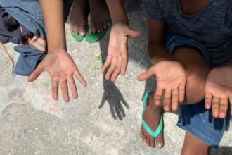 trabalho-infantil-no-pais-cai-21-4-em-oito-anos-nao-foi-uma-variacao-muito-acentuada-alerta-analista-do-ibge-foto-divulgacao-mte-tvt-news