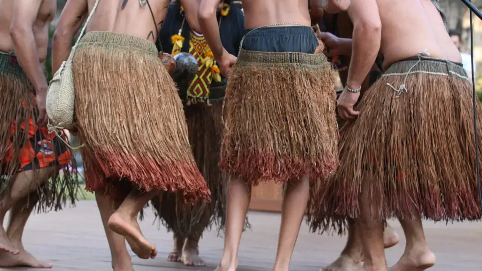 Virada Sustentável celebra 15 anos com programação diversa e gratuita 1 virada-sustentavel-celebra-15-anos-programacao-diversa-gratuita-rovena-rosa-agencia-brasil-tvt-news