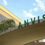 anvisa-proibe-venda-azeite-sal-do-himalaia-cha-marcelo-camargo-agencia-brasil-tvt-news