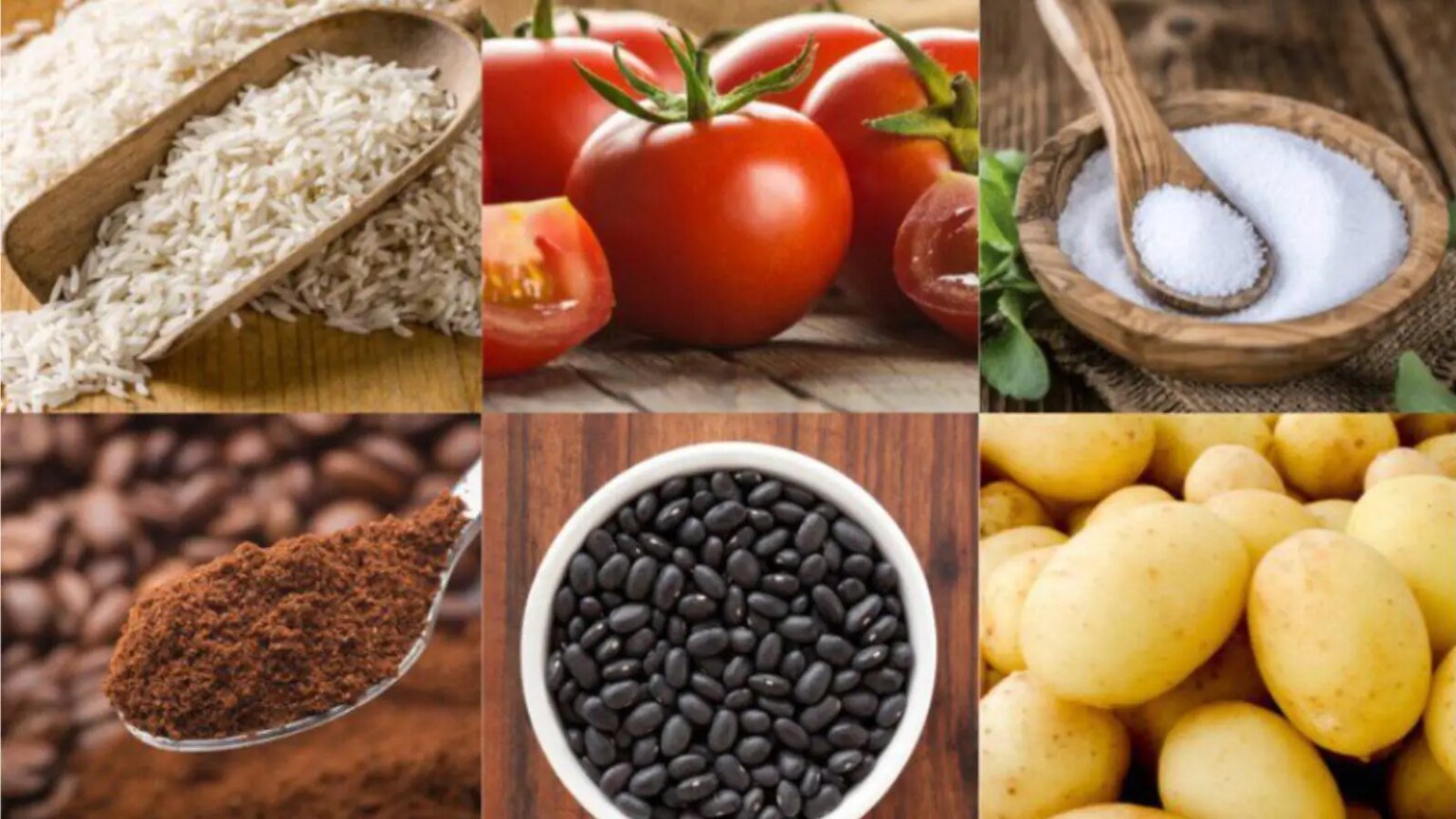 Custo da cesta básica cai em 22 capitais em setembro, indica Dieese 1 custo-da-cesta-basica-cai-em-22-capitais-em-setembro-indica-dieese-cafe-em-po-caiu-em-14-capitais-foto-divulgacao-conab-tvt-news