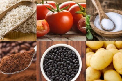 Custo da cesta básica cai em 22 capitais em setembro, indica Dieese 6 custo-da-cesta-basica-cai-em-22-capitais-em-setembro-indica-dieese-cafe-em-po-caiu-em-14-capitais-foto-divulgacao-conab-tvt-news