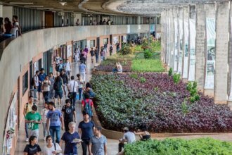 Dia dos Professores: Governo autoriza 6,7 mil novas vagas para professores em universidades federais 11 governo-autoriza-6-7-mil-novas-contratacoes-professores-universidades-federais-secom-unb-tvt-news