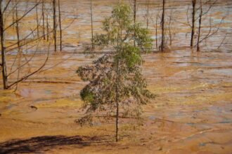 Documentário que expõe impactos da mineração em MG têm sessão especial nesta quinta 5 documentario-expoe-impactos-mineracao-mg-sessao-especial-quinta-divulgacao-tvt-news