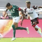 flamengo-palmeiras-7-final-brasileira-libertadores-tvt-news