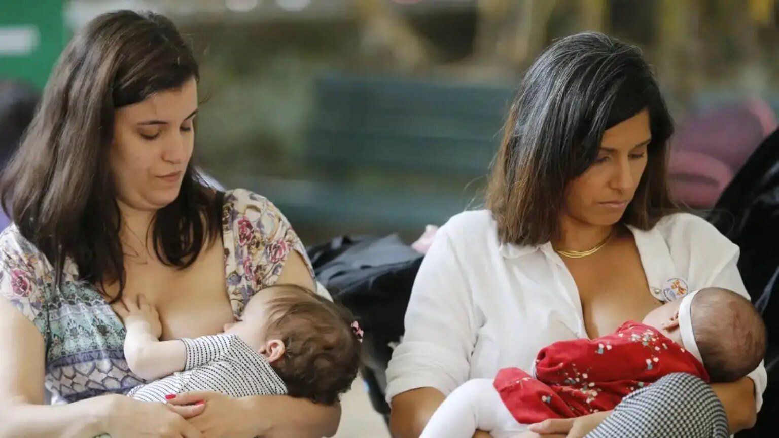 Gestantes e crianças até 6 anos terão Serviço de Proteção Social no Domicílio 1 gestantes-e-criancas-ate-6-anos-terao-servico-de-protecao-social-no-domicilio-servico-pretende-fortalecer-acesso-as-segurancas-socioassistenciais-com-centralidade-na-familia-foto-fernando-frazao-agenciabrasil-tvt-news