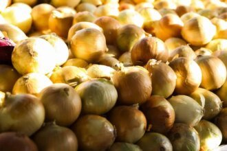 inflacao-acumulada-dos-alimentos-e-a-menor-desde-setembro-de-2024-cebola-registrou-maior-queda-7-65-foto-valter-campanato-agenciabrasil-tvt-news