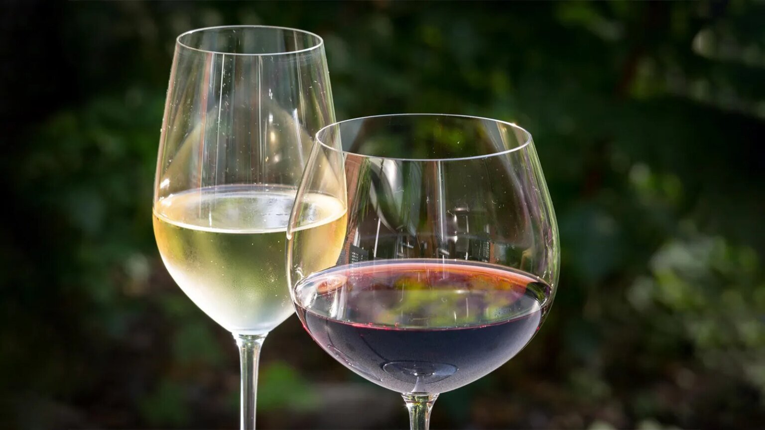 Metanol: cerveja, vinho ou destilado? Quais bebidas podem estar contaminadas? 1 metanol-cerveja-vinho-destilado-quais-bebidaspodem-estar-contaminadas-thomas-pixabay-tvt-news