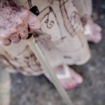 Trabalhadora doméstica é resgatada em condição análoga à escravidão | TVT News 2 trabalhadora-domestica-resgatada-condicao-analoga-escravidao-rafa-neddermeyer-agencia-brasil-tvt-news