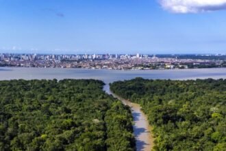 COP30 começa nesta segunda; saiba o que está em jogo 5 COP30 comeca nesta segunda saiba o que esta em jogo.jpg