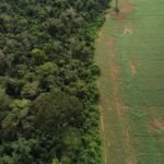 Fundo de Perdas e Danos abre US 250 milhoes.jpg