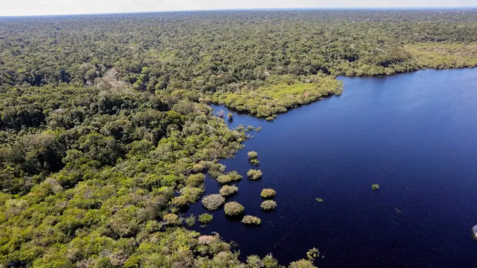 florestas tropicais fabio rodrigues pozzebom Abr