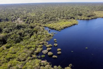 florestas tropicais fabio rodrigues pozzebom Abr