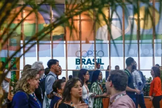 cop-30-resumo-belem-amazonia-brasil-dia-30-conferencia-das-partes-mudancas-climaticas-clima-blue-zone-green-zone-zona-azul-zona-verde-tvt-news