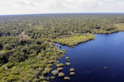 Povos da Amazônia concluem carta com propostas para a COP30 6 cop30-dia-mundial-meio-ambiente-midr-reforca-compromisso-sofre-impactos-crise-climatica-comite-prioriza-protecao-comunidades-vulneraveis-prepara-brasil-liderar-cop30-agencia-brasil-tvt-news