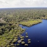 cop30-dia-mundial-meio-ambiente-midr-reforca-compromisso-sofre-impactos-crise-climatica-comite-prioriza-protecao-comunidades-vulneraveis-prepara-brasil-liderar-cop30-agencia-brasil-tvt-news