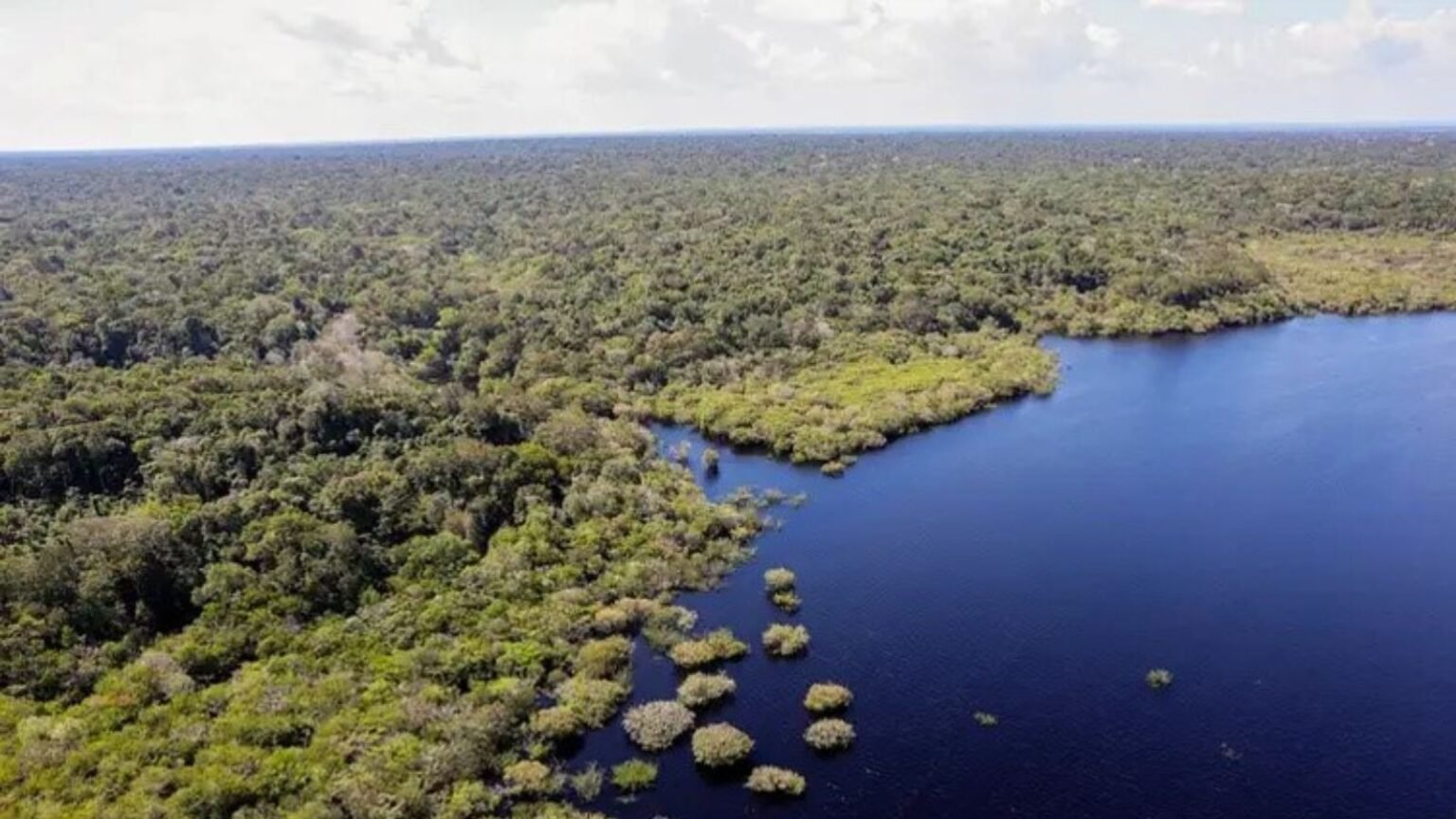 povos da Amazônia constroem recomendações 1 cop30-dia-mundial-meio-ambiente-midr-reforca-compromisso-sofre-impactos-crise-climatica-comite-prioriza-protecao-comunidades-vulneraveis-prepara-brasil-liderar-cop30-agencia-brasil-tvt-news