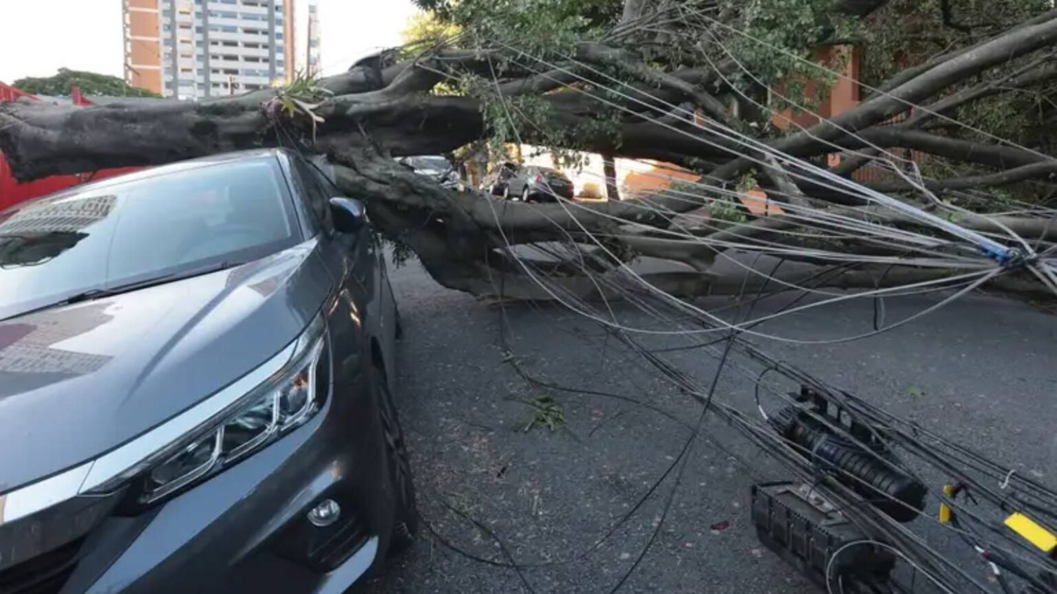 aneel-cobra-explicacoes-da-enel-apos-novo-apagao-em-sao-paulo-nesta-quinta-11-cerca-de-1-5-milhao-de-clientes-amanheceram-sem-energia-foto-paulo-pinto-agencia-brasil-tvt-news