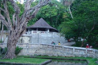 leoa-mata-jovem-em-zoologico-na-paraiba-tvt-news