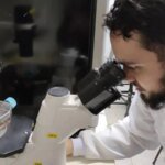 Profix Conhecimento Brasil oferecera 1000 bolsas de R 13 mil.jpg