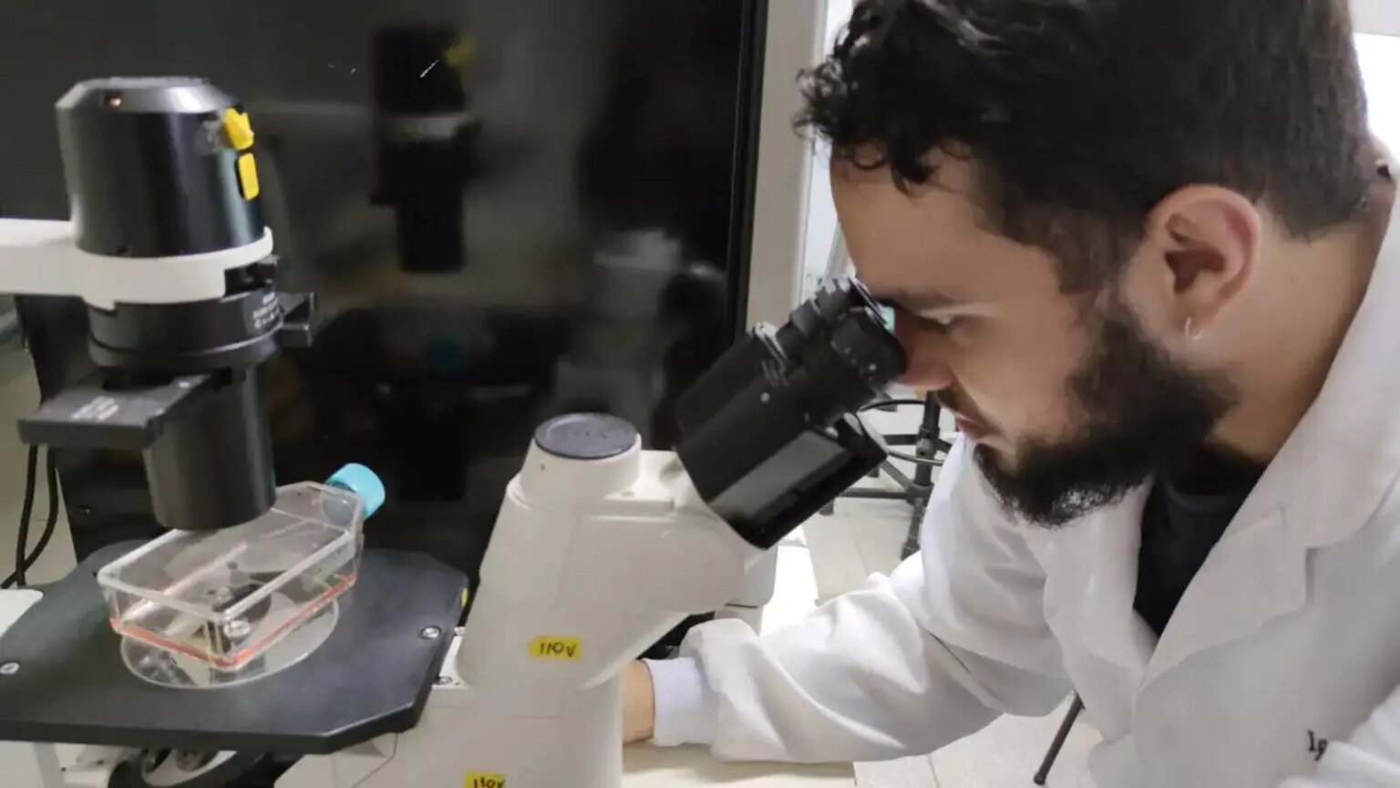 Profix Conhecimento Brasil oferecera 1000 bolsas de R 13 mil.jpg