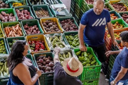 Entre os fatores que explicam a redução geral na cesta básica, o relatório aponta maior oferta de alimentos como tomate e leite, baixa demanda industrial por arroz e queda internacional do açúcar Foto: Rafa Neddermeyer/Agência Brasil