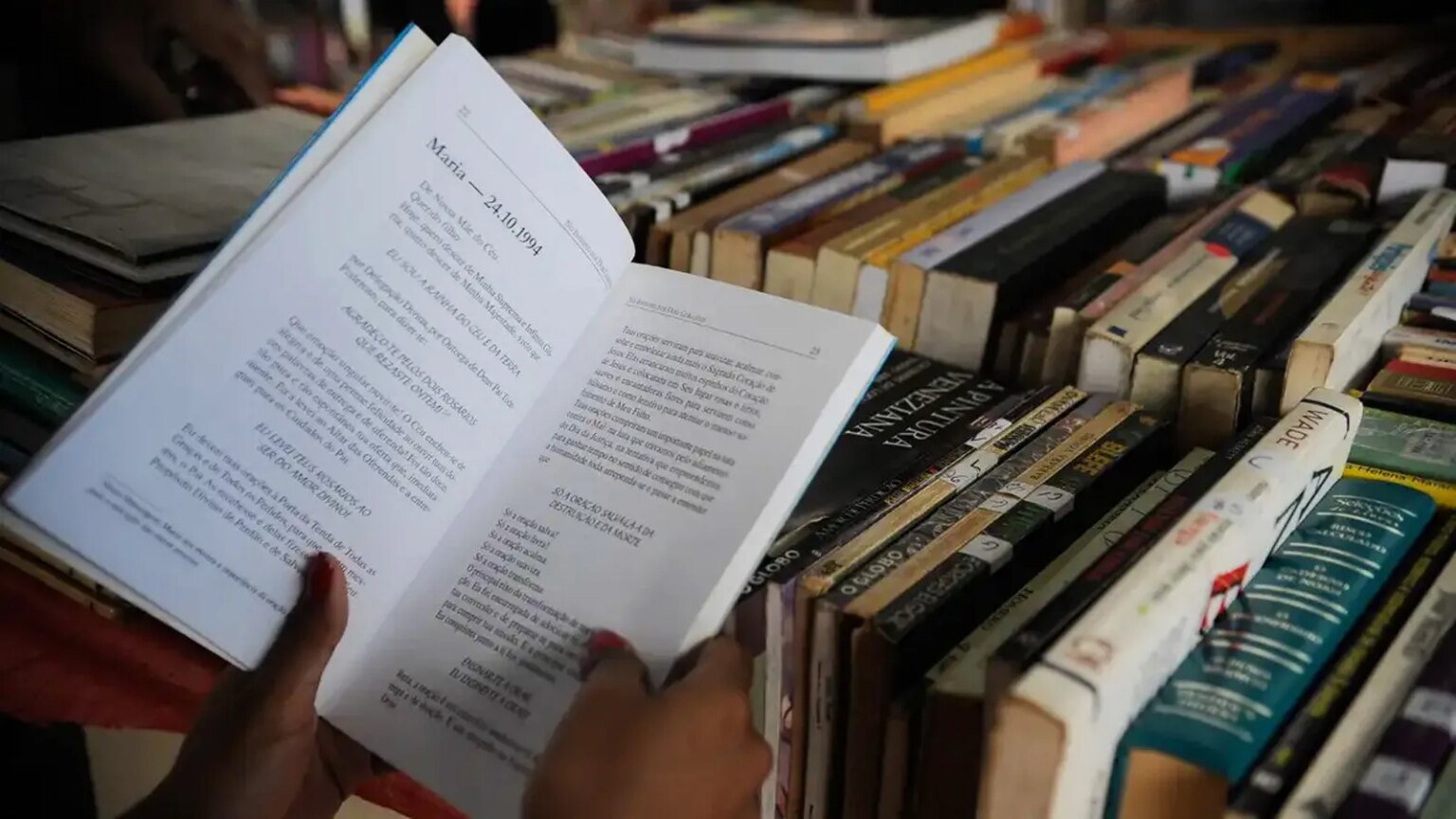 veja recomendações da TVT News 1 26-livros-para-ler-em-2026-fernando-frazao-agencia-brasil-tvt-news