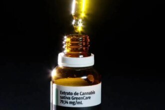 anvisa-aprova-cultivo-de-cannabis-por-empresas-e-amplia-acesso-tambem-ficou-decidido-na-reuniao-limite-de-ate-0-3-de-thc-tetrahidrocanabinol-foto-tv-brasil-tvt-news