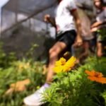 dia-da-educacao-ambiental-destaca-iniciativas-de-conscientizacao-educacao-ambiental-e-ponte-entre-o-que-a-gente-quer-fazer-e-o-que-vai-acontecer-foto-marcelo-camargo-agencia-brasil-tvt-news