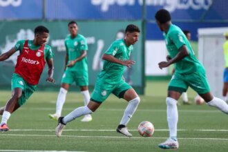 Palmeiras estreia com vitória e “gol fantasma” contra o Monte Roraima 7 Palmeiras estreia com vitoria e gol fantasma contra o Monte.jpg