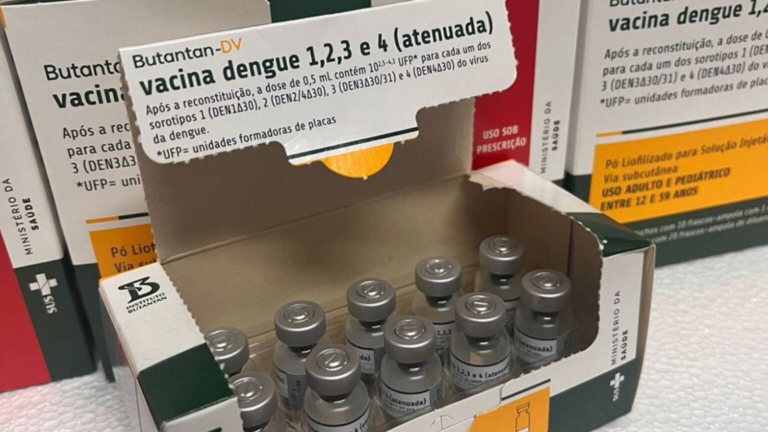 Começa vacinação contra a dengue no Rio de Janeiro 1 comeca-vacinacao-contra-a-dengue-no-rio-de-janeiro-primeira-etapa-vai-vacinar-trabalhadores-da-saude-do-sus-foto-instituto-butantan-divulgacao-tvt-news