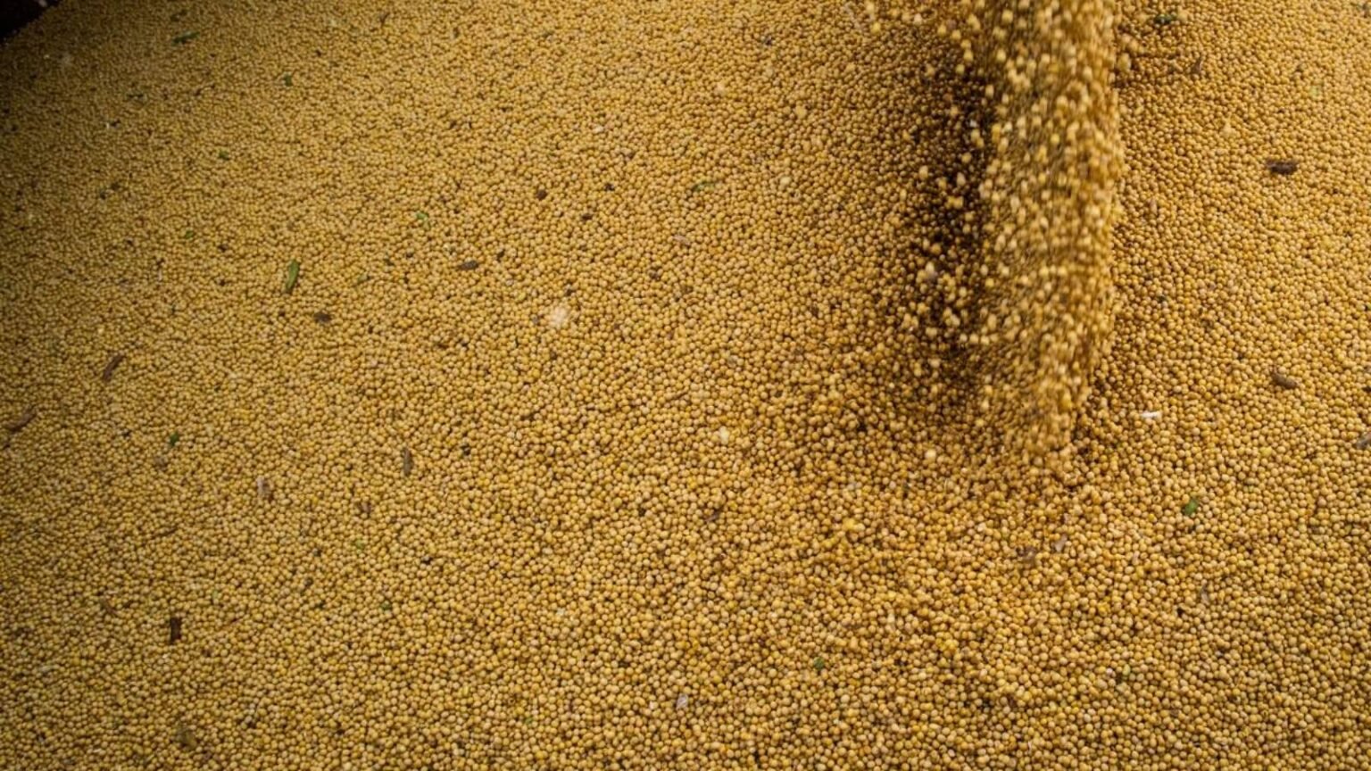 agro-cresce-11-7-impulsiona-pib-e-ganha-participacao-na-economia-producao-de-soja-cresceu-14-6-foto-cna-wenderson-araujo-tvt-news