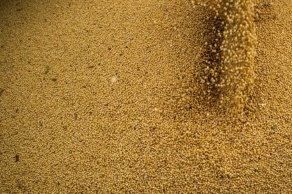 agro-cresce-11-7-impulsiona-pib-e-ganha-participacao-na-economia-producao-de-soja-cresceu-14-6-foto-cna-wenderson-araujo-tvt-news