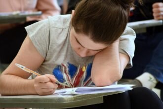 confira lista de aprovados no vestibular.jpg