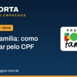 bolsa familia como consultar pelo cpf selo.jpg