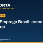 Como se cadastrar no Sine e buscar vagas de emprego pelo Emprega Brasil 2 como se cadastrar no sine e buscar vagas no emprega brasil.jpg